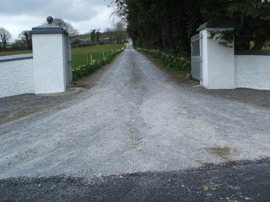 Grove Farm House Inistioge Eksteriør billede